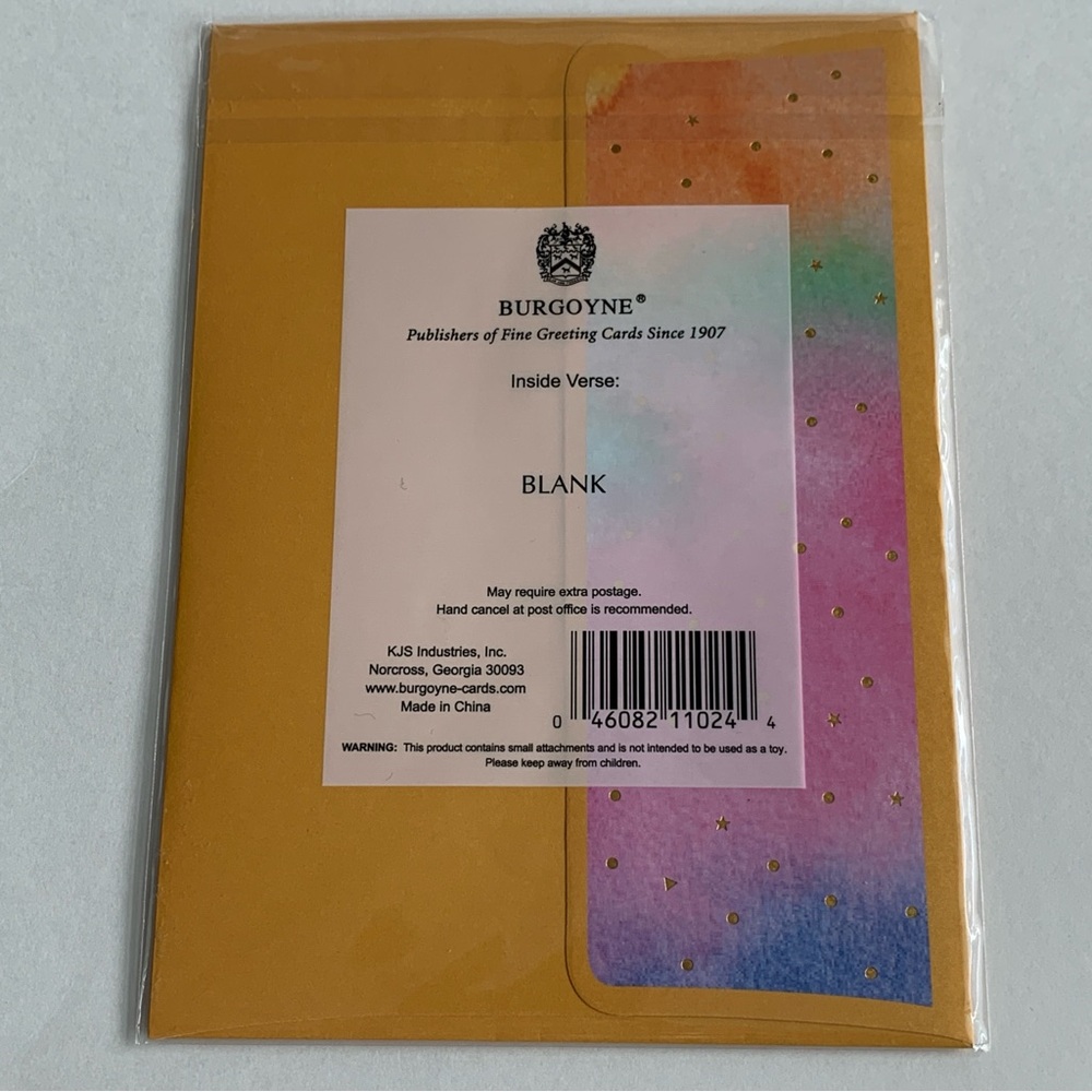 BURGOYNE Fun Colorful Accessorized Blank Note Cards Stationary Set of 3 - Picture 11 of 11